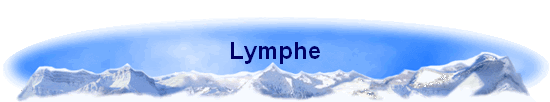 Lymphe