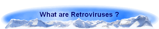 What are Retroviruses ?
