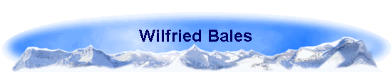 Wilfried Bales